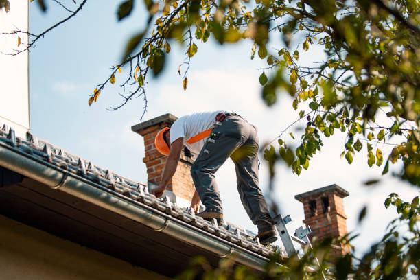 Best Storm Damage Roof Repair  in Bloomingdale, GA